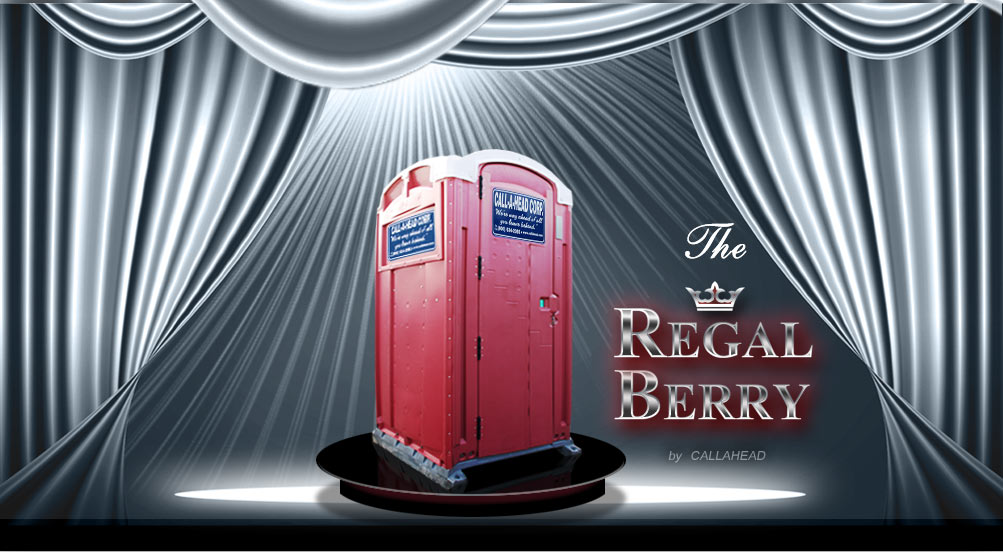 Special Events Portable Toilet