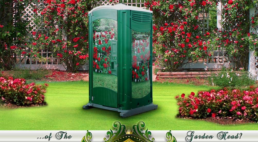 Special Events Portable Toilet for Her