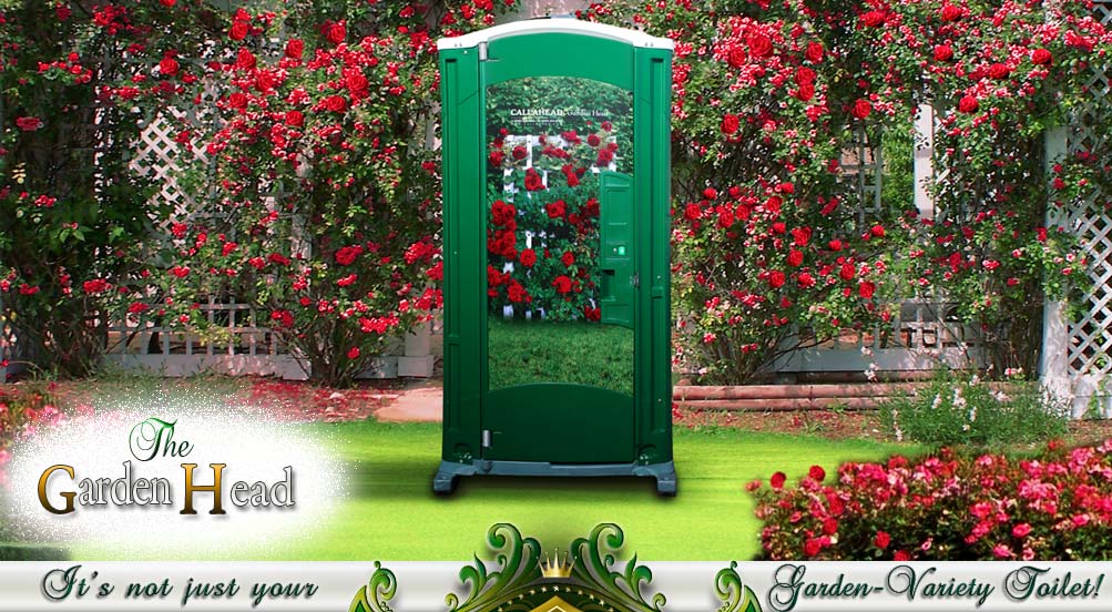 Special Events Portable Toilet for Her