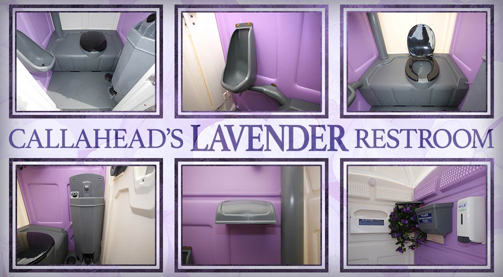 The LAVENDER Portable Toilet Short Term Rental in Westchester