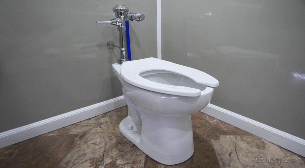 The DotComm Toilet System Inside a Restroom