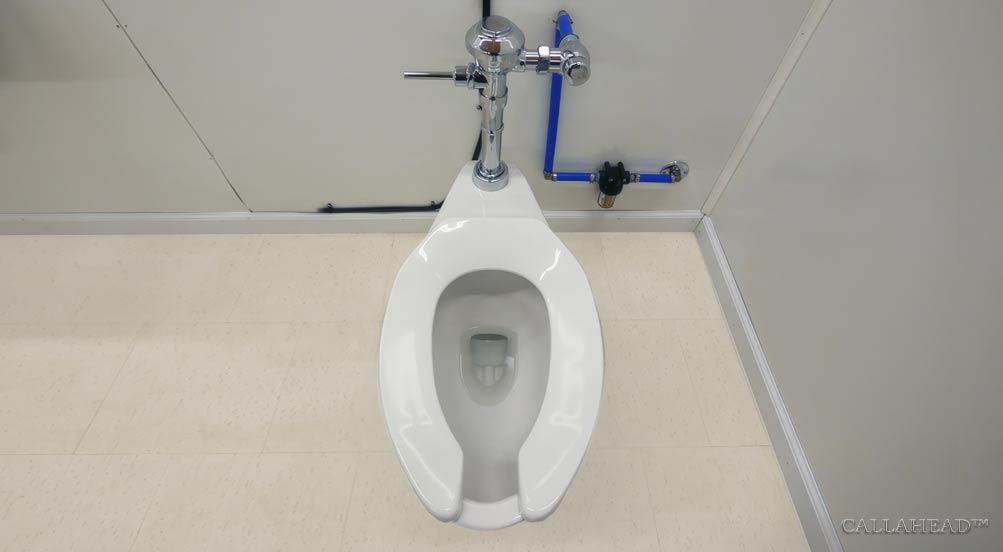 The DotComm Toilet System Inside a Restroom
