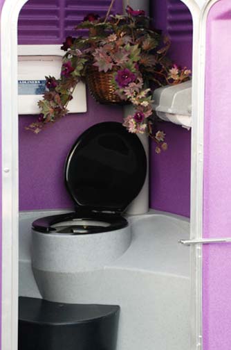 purple toilet seat