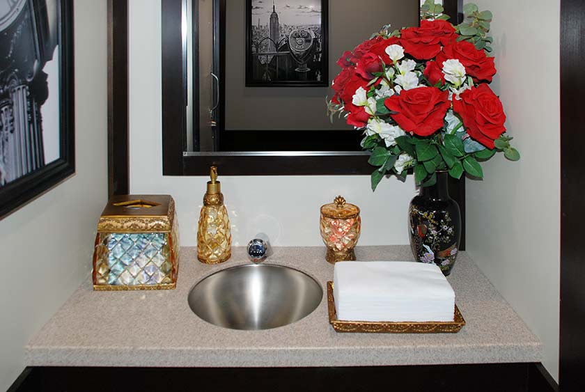 STAINLESS STEEL SINK WITH AMENITIES, SUCH AS TISSUE HOLDER, SOAP DISPENSER, CANDY DISH